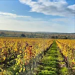 Entre Loire & Vignes Σπίτι διακοπών *