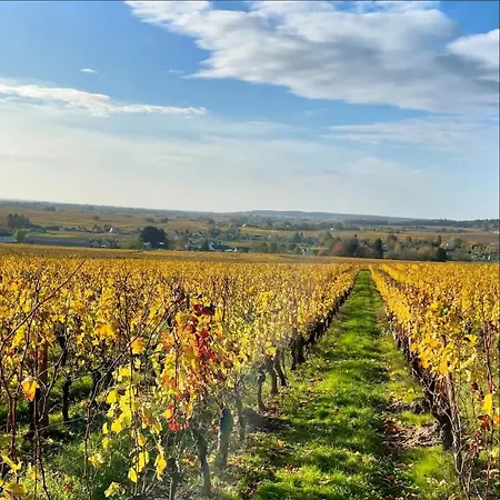 Entre Loire & Vignes 펜션 *