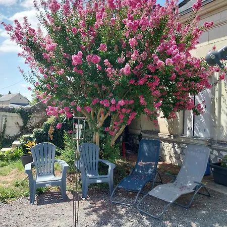 Entre Loire & Vignes