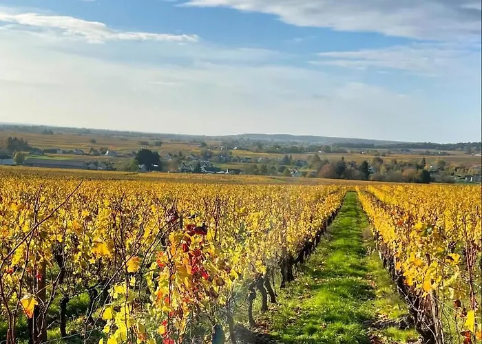 Entre Loire & Vignes 度假居 *